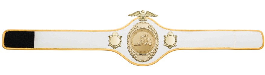 JIU JITSU CHAMPIONSHIP BELT-PRO288/G/JJG - 10 COLOURS JIU JITSU CHAMPIONSHIP BELT-PRO288/G/JJG - 10 COLOURS